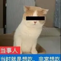free slots please royal panda online casino [Breaking news] China to abolish quarantine measures upon entering bocoran main role from January 8th